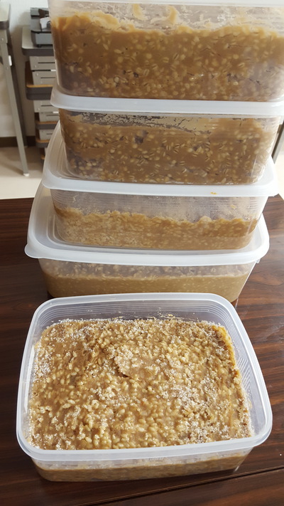 玄米味噌の仕込み会