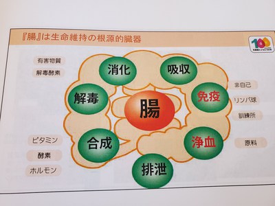 健康セミナー※✳️腸の自然が生命の自然 健康セミナー※✳️腸の自然が生命の自然