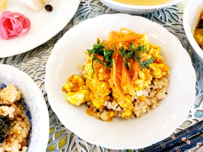 ハトムギご飯のとろふわ丼 2種 ハトムギご飯のとろふわ丼 2種