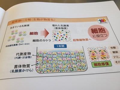 健康セミナー※✳️腸の自然が生命の自然 健康セミナー※✳️腸の自然が生命の自然