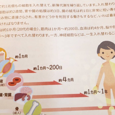 LM(ライフ・イズ・マクロビオティック) LM(ライフ・イズ・マクロビオティック)
