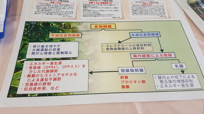 鶴亀マルシェご来場お礼&次回予告 鶴亀マルシェご来場お礼&次回予告