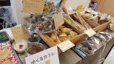 つるかめマルシェのご案内　2017年6月27日（火）