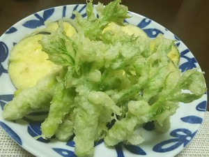 春を感じる食材 春を感じる食材
