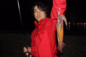 週末釣り情報～～！！ケンサキ続釣中！！