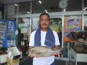 釣具の山下 イサキ ブリ ヒラメ 夏の海には大物がひそんでいる