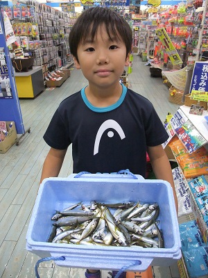 週末釣り情報～～！！モイカ・太刀魚好調！！