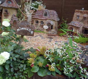 Open Garden @はーぶがーでん黄花樹 Open Garden @はーぶがーでん黄花樹