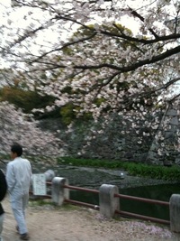 2010年04月04日