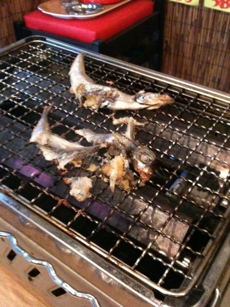 たかちんとまさひろさんの休日