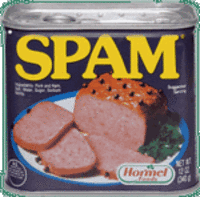 スパムメール、SPAM