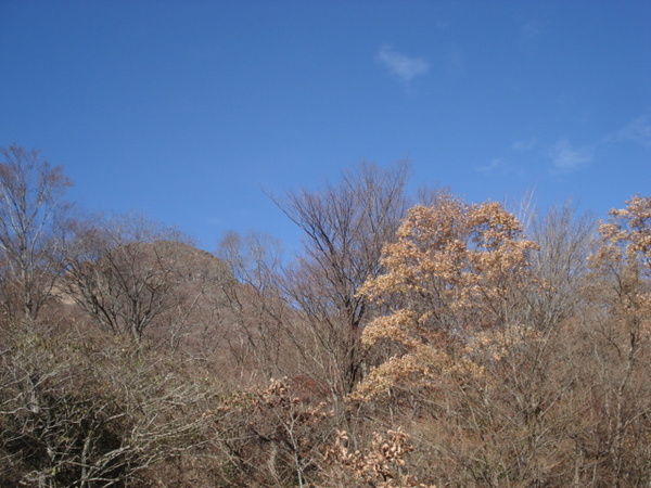 由布岳グー!
