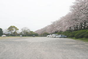 2010年花見にいこう!!