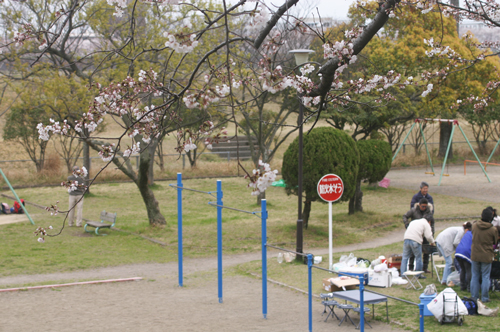 2010年花見にいこう!!