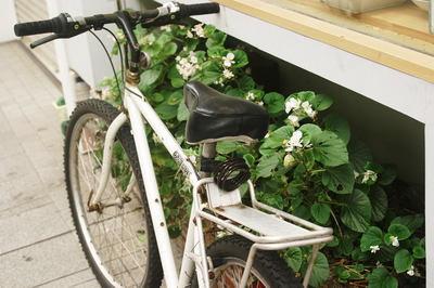 愛車、コーギー無事生還！！