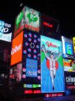 11月12日は何の日?