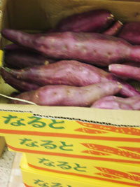 只今、ツネ印鳴門金時芋入荷!!