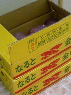 芋食えば、柿がなるなり法隆寺?!