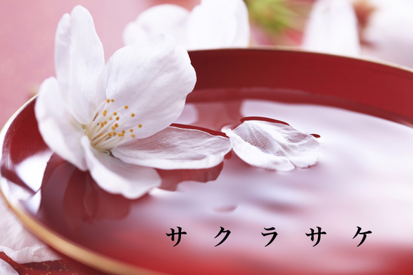 サクラサケ