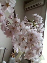 被災地支援の形アレコレ