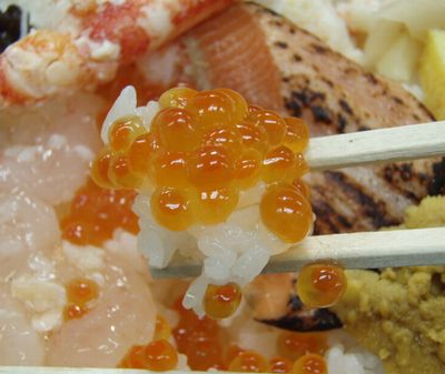 今日のランチ~♪