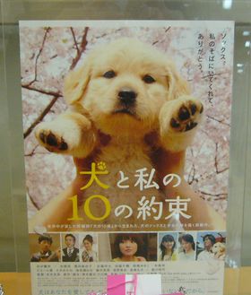 映画とコラボ~♪