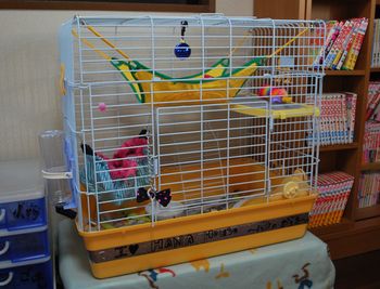 新築です~♪