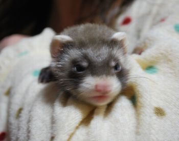新入りです~♪