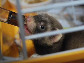 新入りです~♪