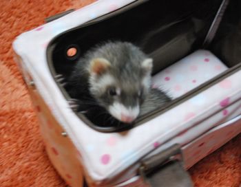 どこへでも~♪