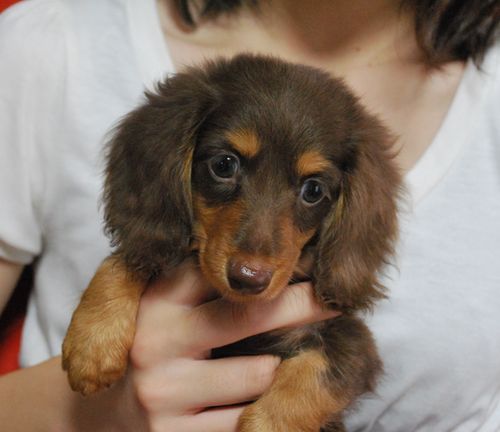 New Face~♪
