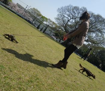 サクラ満開~♪