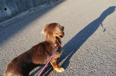 もうすぐ満開♪