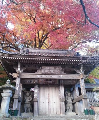 国宝富貴寺で~♪