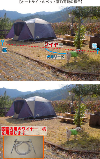 ワンちゃんと一緒にキャンプ宿泊！　オートサイト偏