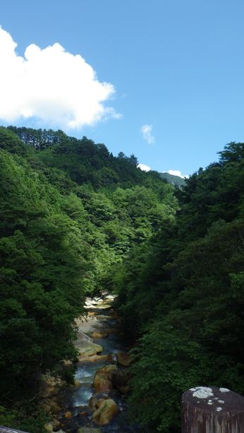 ととろの森うめキャンプ村は大変な事になっています