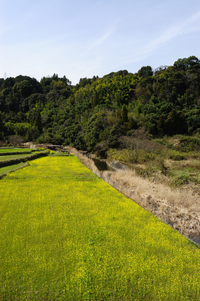 塚野鉱泉