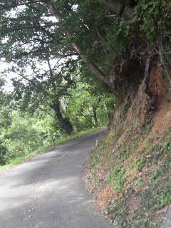 運命の分かれ道　～Road to CAMP～