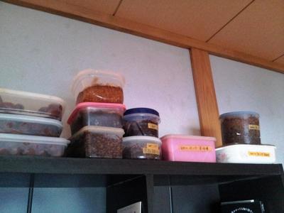お弁当作りました
