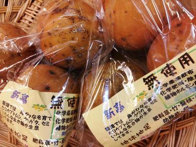 すごい梨のこと&咳が出てお困りの方へ