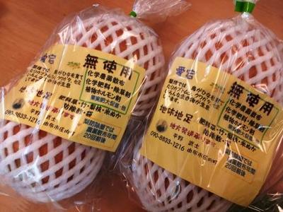 健康教室のマクロビランチ&無農薬無肥料の梨