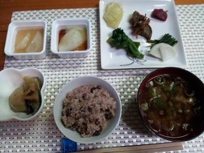 半断食セミナー陣中見舞い&新漬の阿蘇高菜のチャーハン