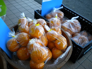 本日の野菜