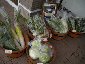 本日の野菜