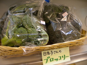 本日の野菜