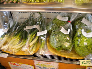 本日の野菜