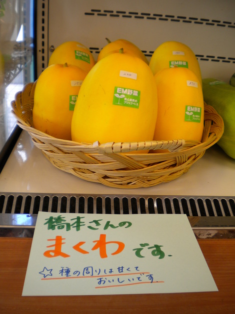 色とりどり。