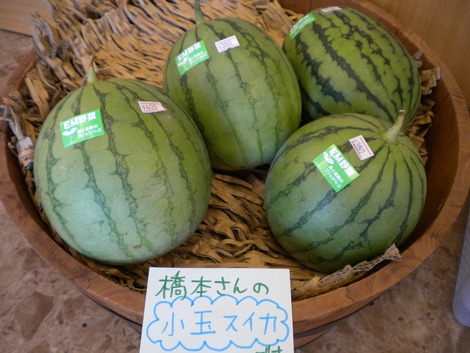 暑い夏だからこそ！