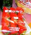 お正月 ②