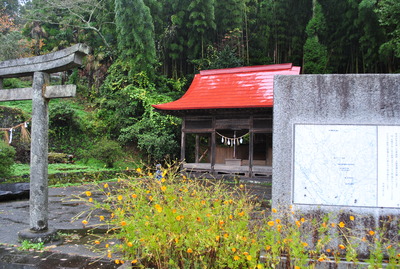 野菜畑見学
